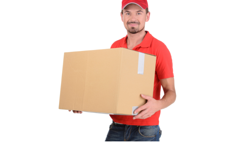 Untitled design (12)